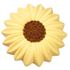 Picture of SUNFLOWER CAKE