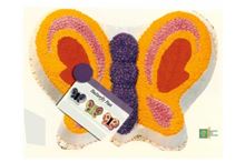 Picture of Butterfly Eggless Vanilla Cake 